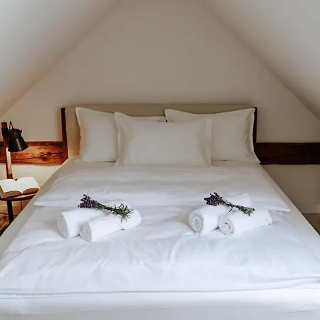 Apartments of Hana Hegerová *