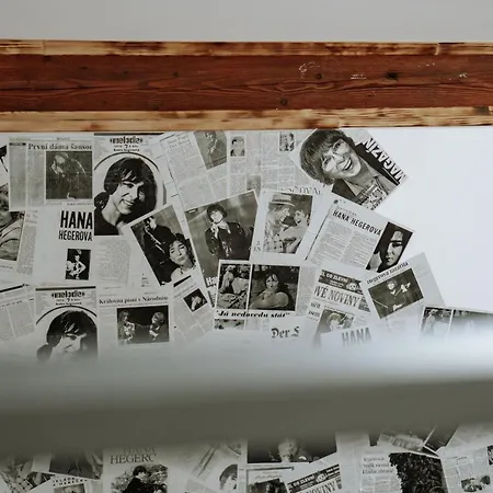 Of Hana Hegerova Апартаменты Hurbanovo