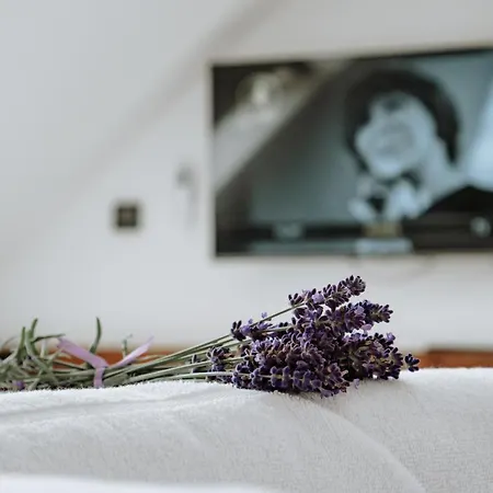 Apartment Dom Hany Hegerovej Hurbanovo