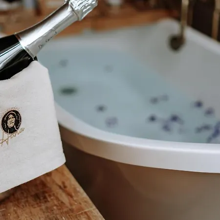 Apartments of Hana Hegerová