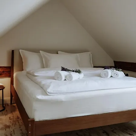 Apartamento Apartments of Hana Hegerová *