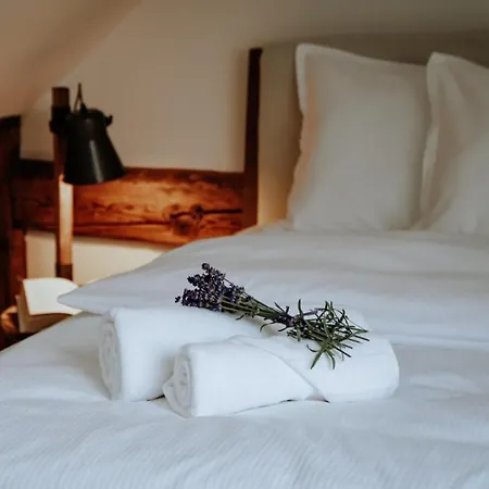 Apartments of Hana Hegerová Apartamento