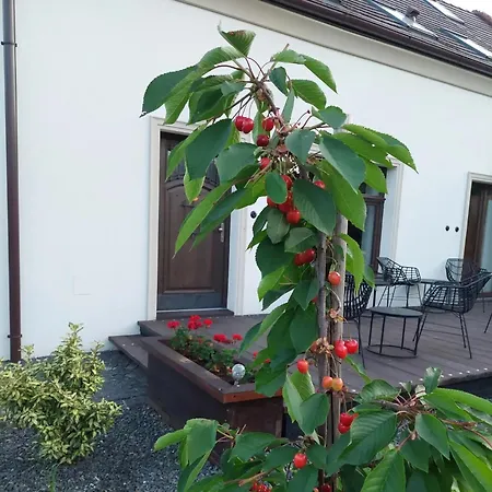 Dom Hany Hegerovej Appartamento *