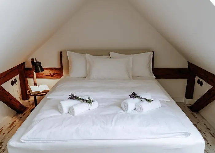 Dom Hany Hegerovej *