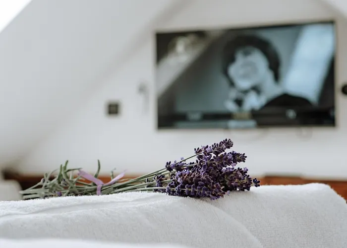 Apartment Dom Hany Hegerovej Hurbanovo