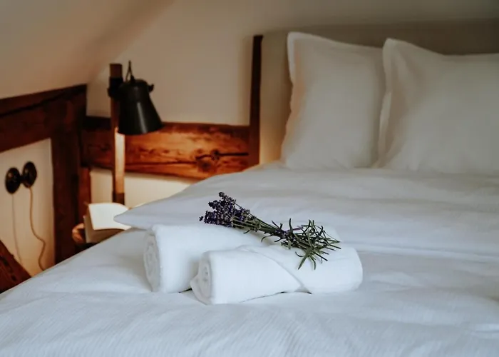 Dom Hany Hegerovej Apartment