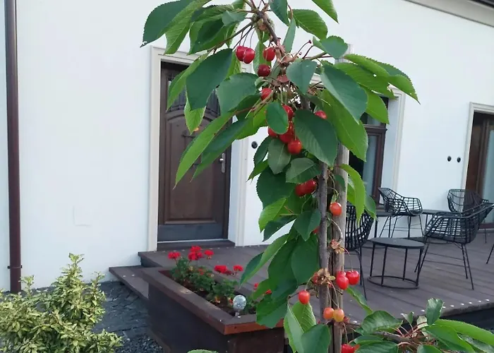 Dom Hany Hegerovej Apartment *